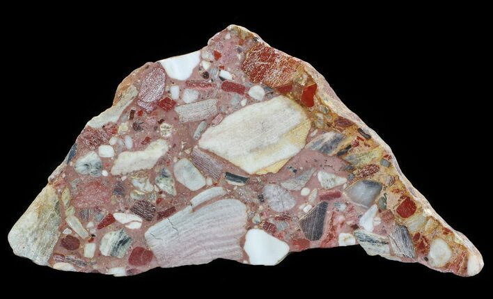 Polished Chert Breccia Section - Western Australia #65436